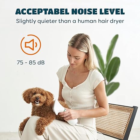 2-in-1 Pet Grooming Dryer Comb