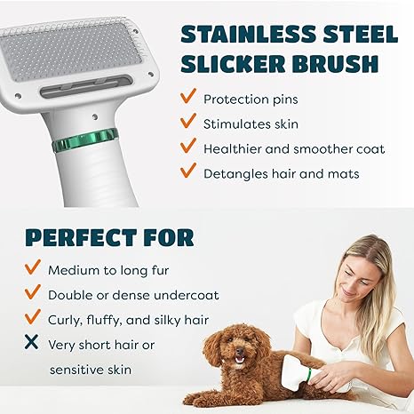 2-in-1 Pet Grooming Dryer Comb