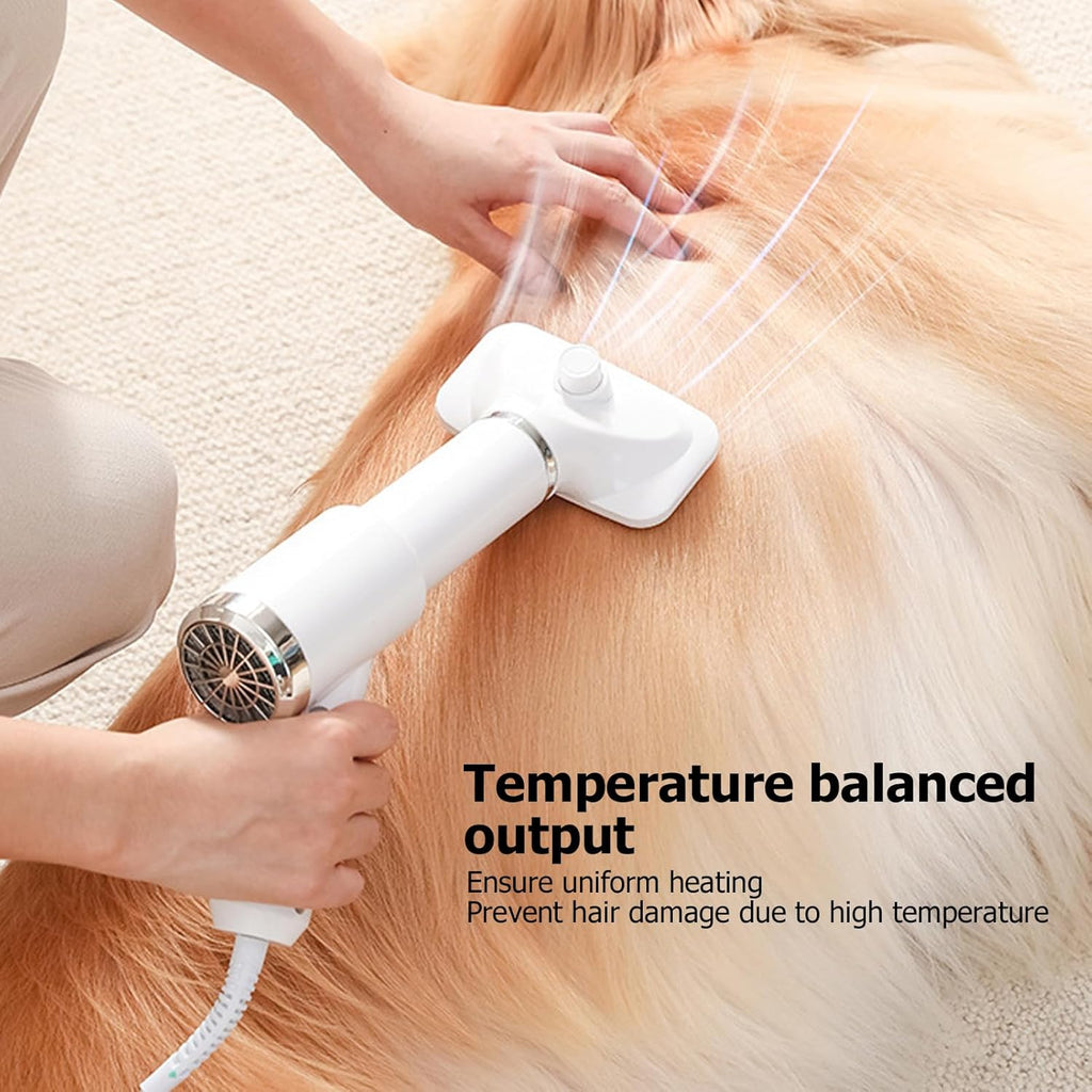 2-in-1 Pet Hair Dryer