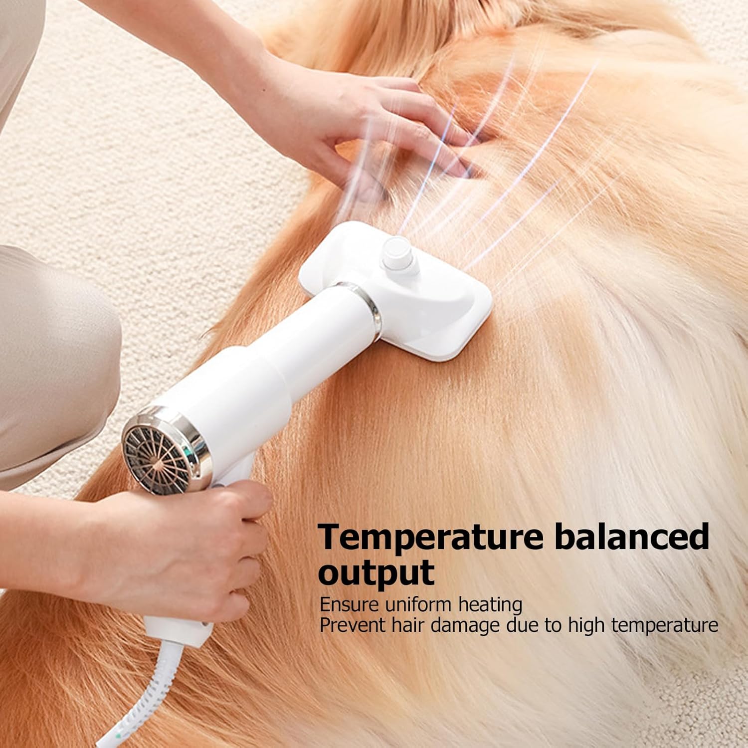 2-in-1 Pet Hair Dryer