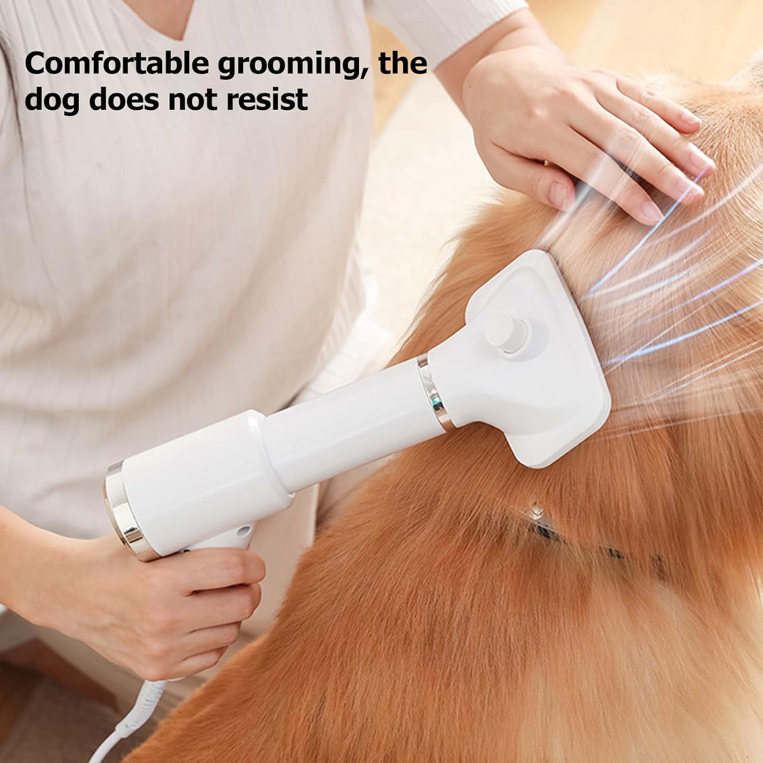 2-in-1 Pet Hair Dryer